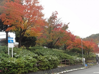 c0147935_20145042.jpg
