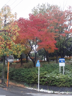 c0147935_20151296.jpg