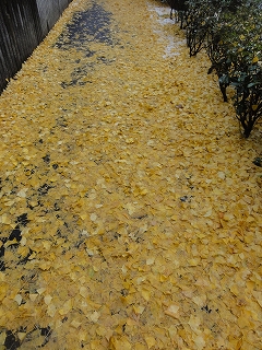 c0147935_2015388.jpg
