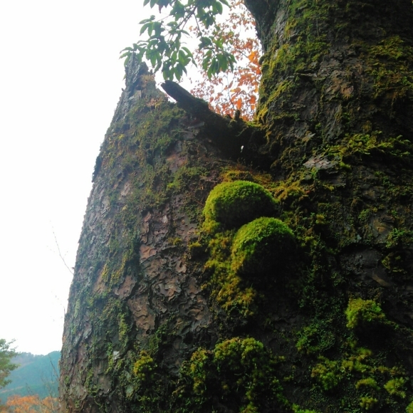 d0288435_09580128.jpg