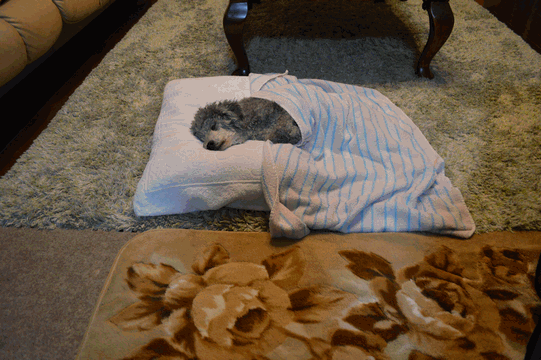 c0136736_17104878.gif