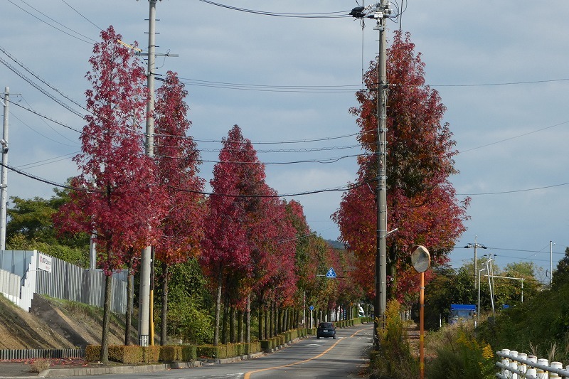 久しぶりにふれあいの森_b0286737_07571869.jpg