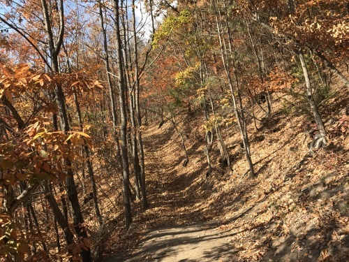 f0335539_20353751.jpg