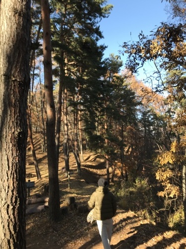 f0335539_20364402.jpg