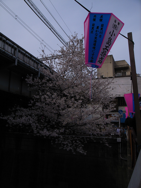 a0087341_23425243.jpg