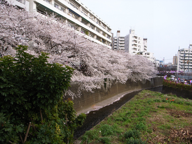 a0087341_23425511.jpg