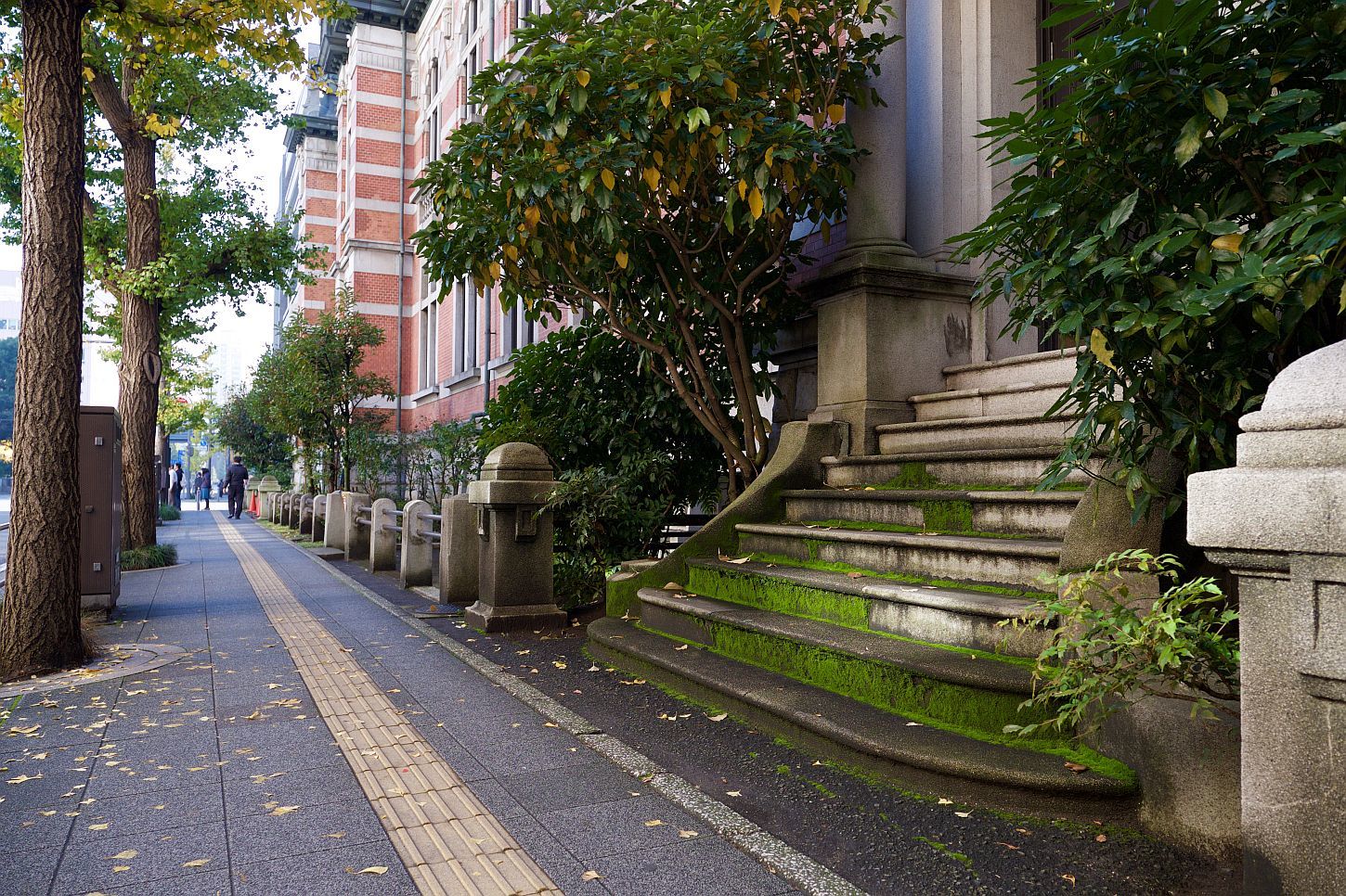 【重要文化財|横浜市開港記念会館】 特別公開情報、アクセス・見学のしかた_b0212342_06573070.jpg