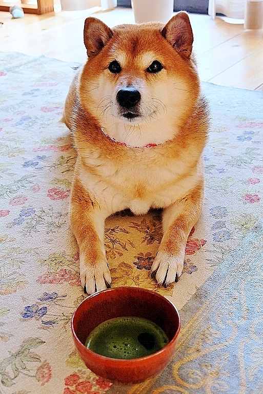 お・も・て・な・し_b0314043_18133836.jpg