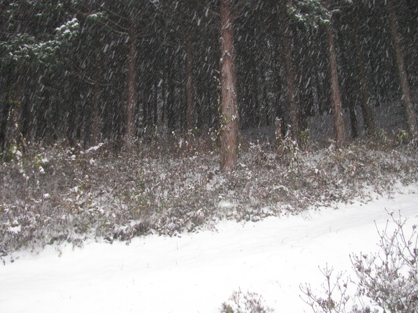 f0151044_15501228.jpg