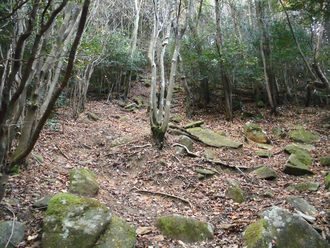 a0206345_21405855.jpg