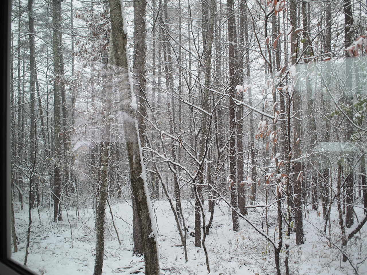 a0299945_21585289.jpg