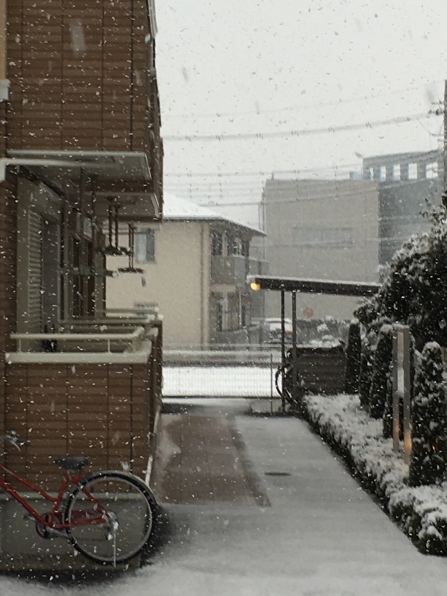 初雪_c0206645_08052055.jpg