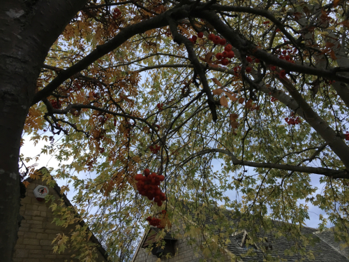 c0206446_03073350.jpg