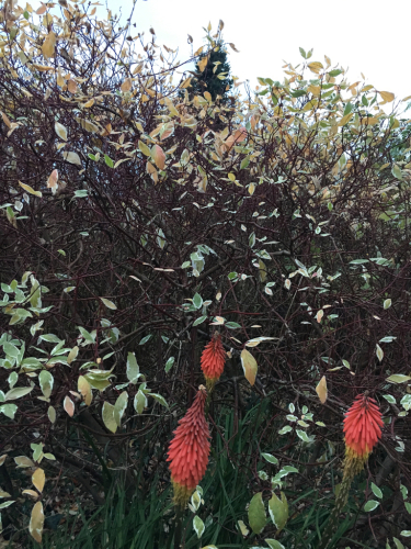 c0206446_03112764.jpg