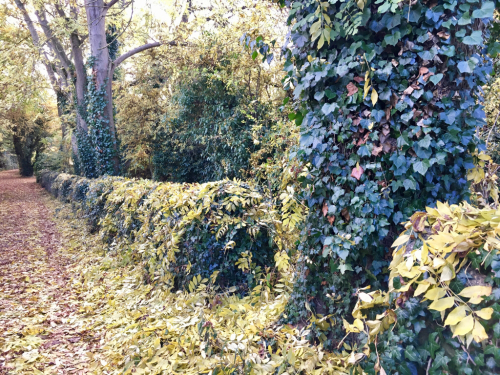 c0206446_03230412.jpg
