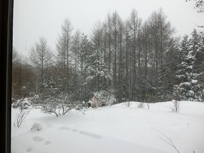 f0019247_11255313.jpg