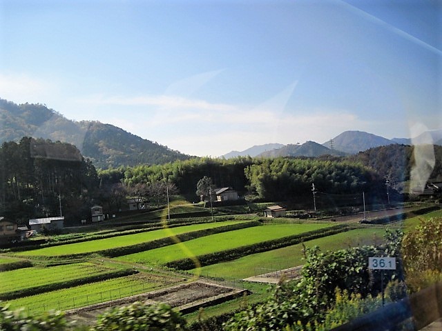 f0379049_02385942.jpg