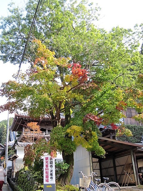 f0379049_02402032.jpg