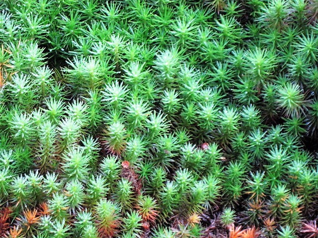 f0379049_02405149.jpg