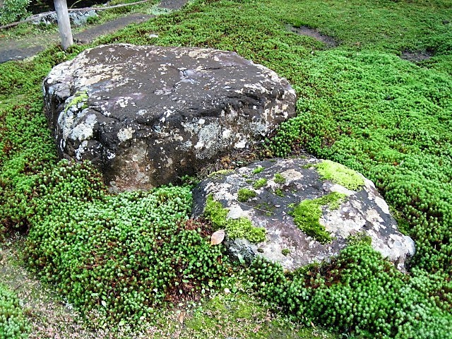 f0379049_02410363.jpg