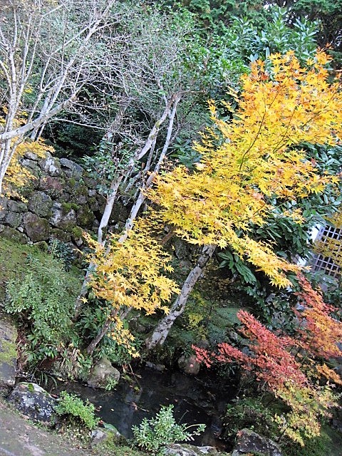 f0379049_02411527.jpg
