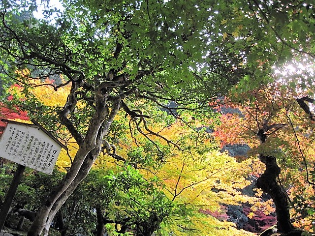 f0379049_02422209.jpg