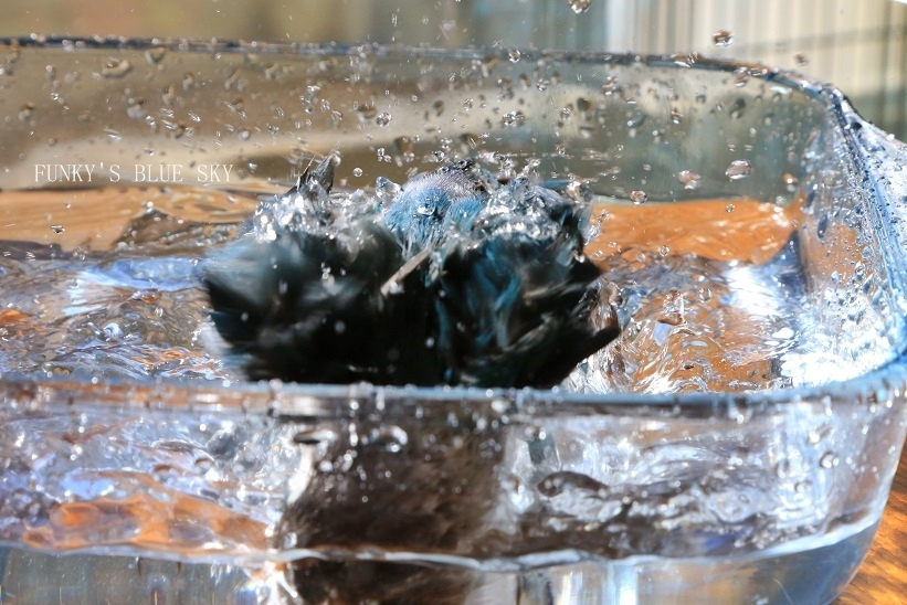 c0145250_10384930.jpg