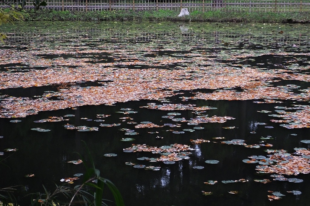 b0236251_13282455.jpg