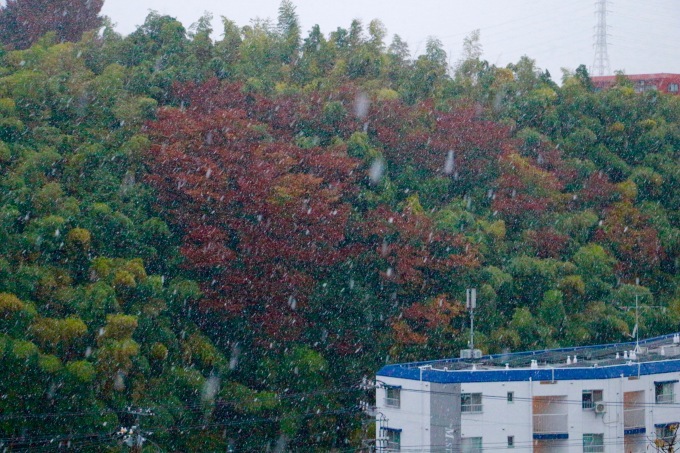 a0248459_07323523.jpg