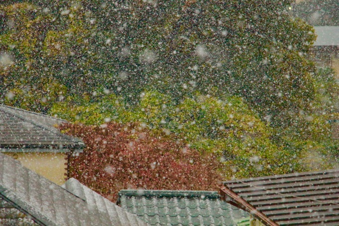a0248459_07330887.jpg