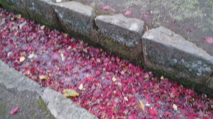 d0116059_18440002.jpg