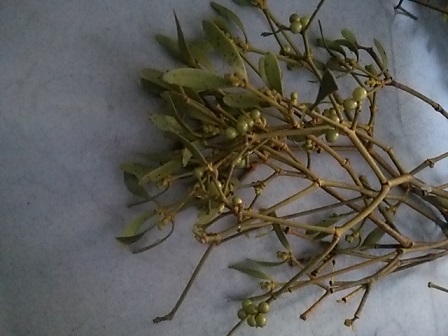 c0172261_8263991.jpg