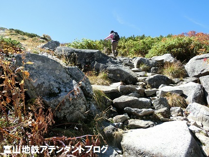 立山のとなり、浄土山に登ってみよう！_a0243562_16325472.jpg