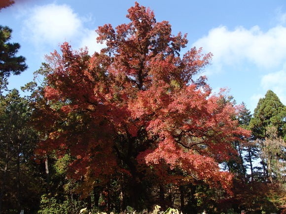 b0044663_23511290.jpg