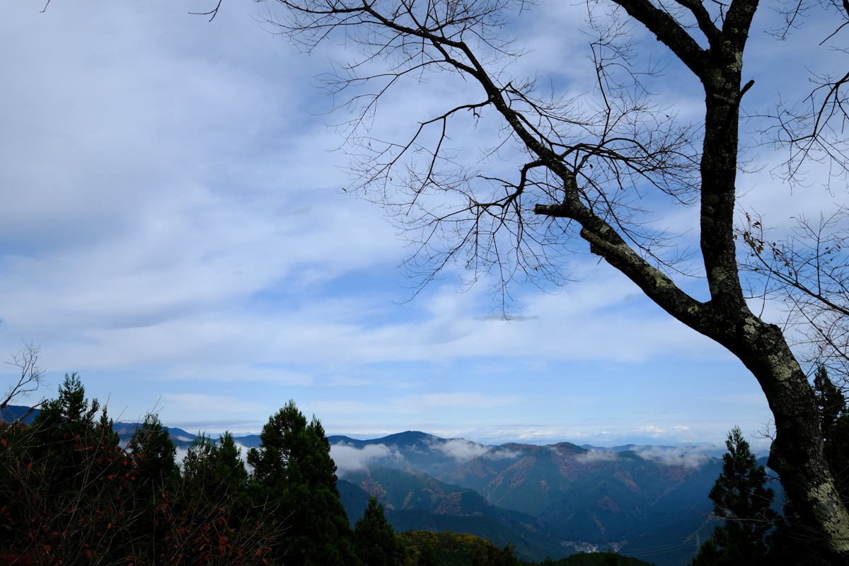 c0084666_15333522.jpg