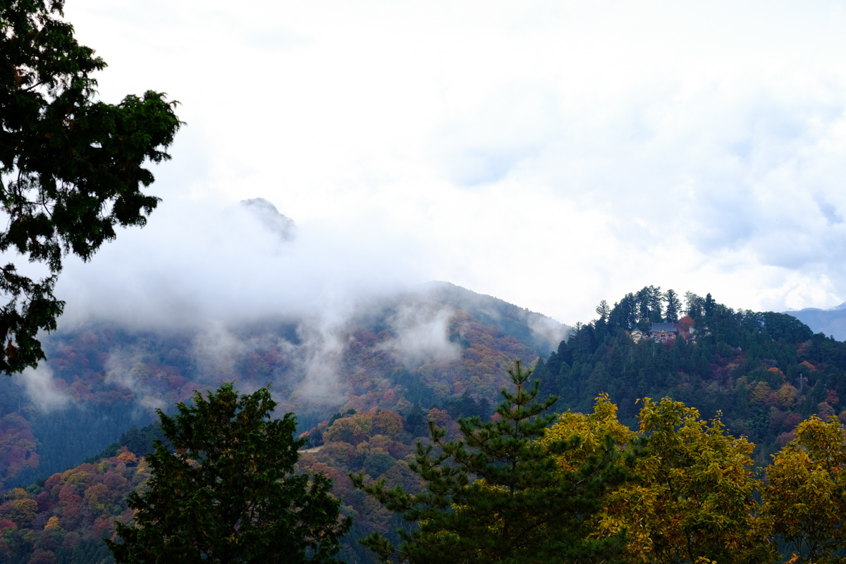 ちょい山さんぽ～Ⅴ_c0084666_17070073.jpg