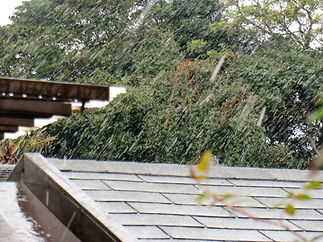 a0134568_10232078.jpg