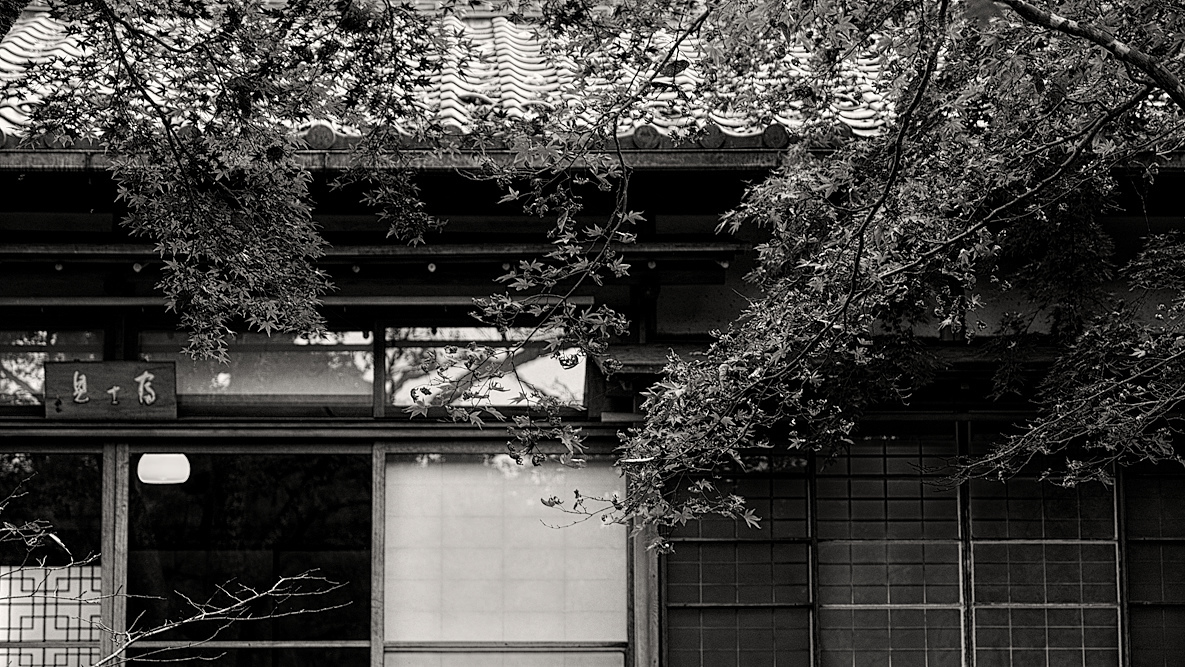 e0341968_21592781.jpg