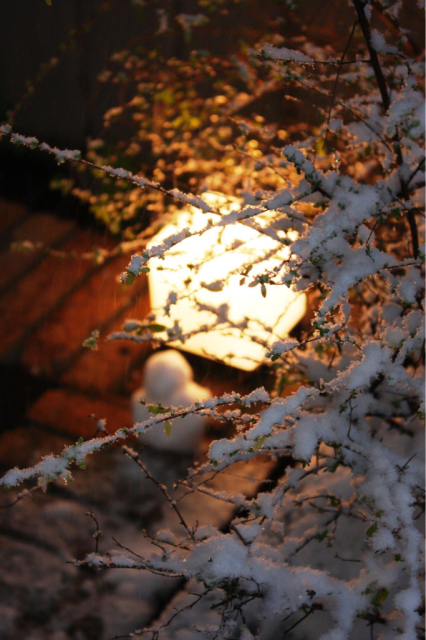 雪の木曜日_e0189069_09195104.jpg