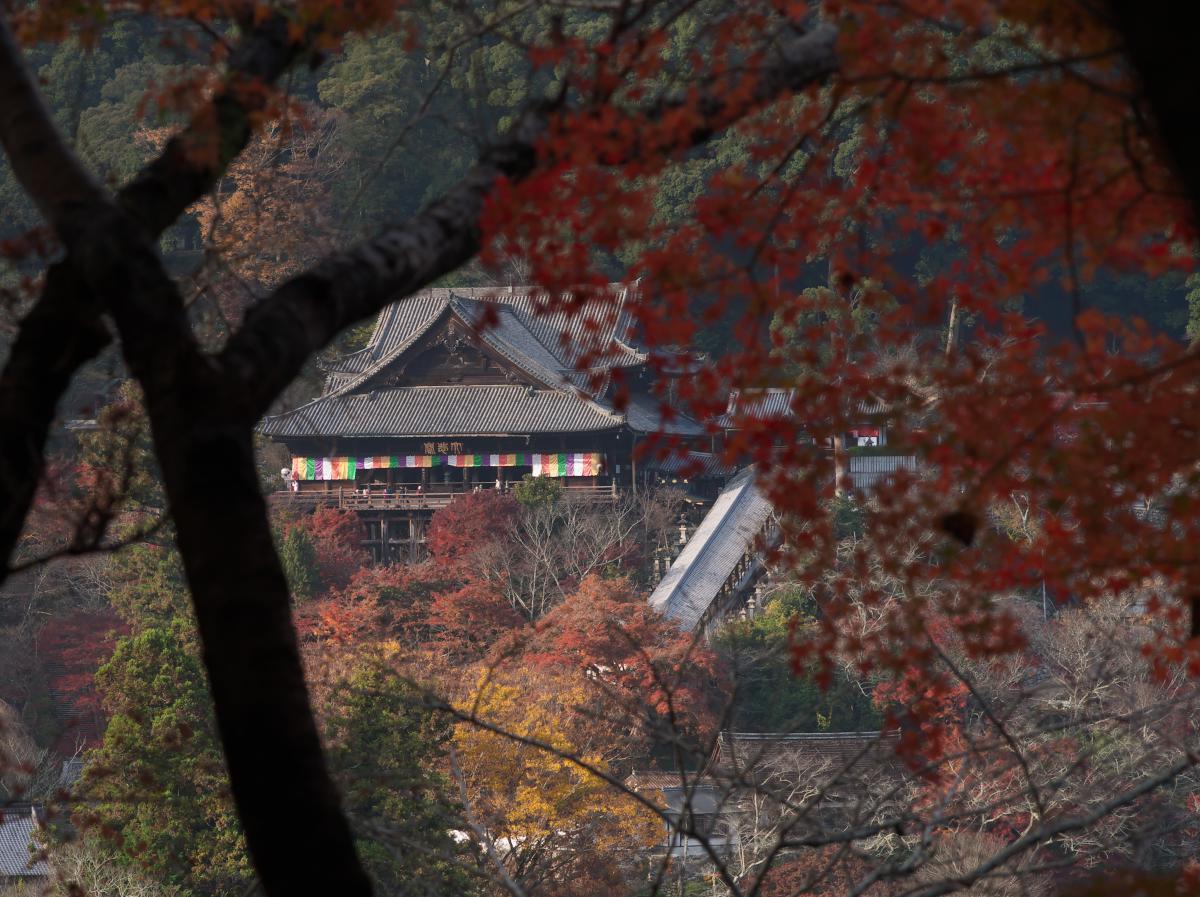 　長谷寺界隈　愛宕神社_b0161171_17091535.jpg