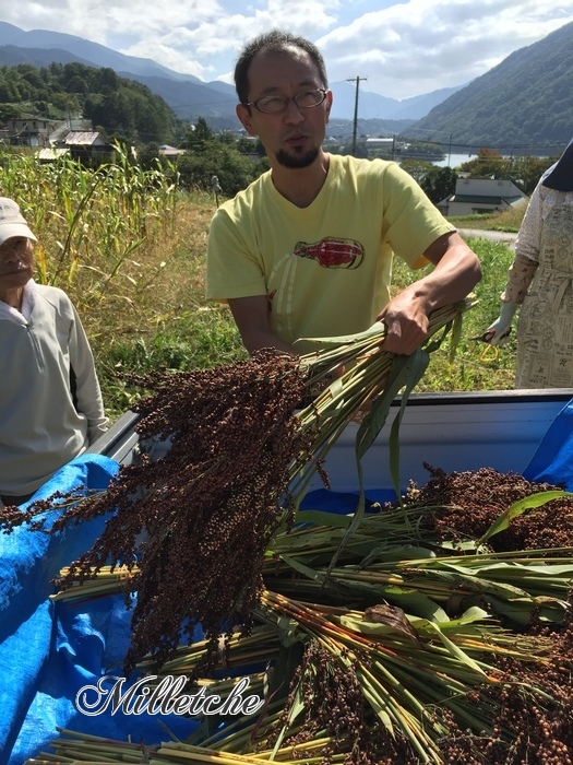 雑穀シコクビエの収穫体験 @長野県伊那市_c0220172_13505029.jpeg