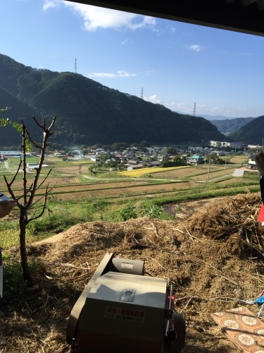 雑穀シコクビエの収穫体験 @長野県伊那市_c0220172_13524785.jpeg