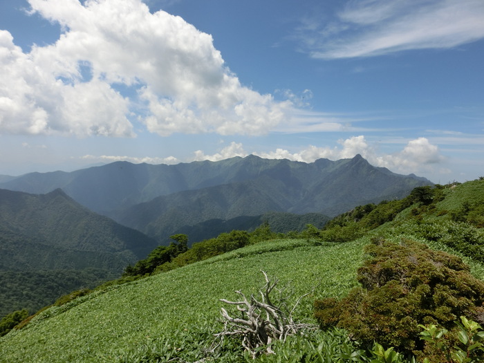 b0185573_17243598.jpg