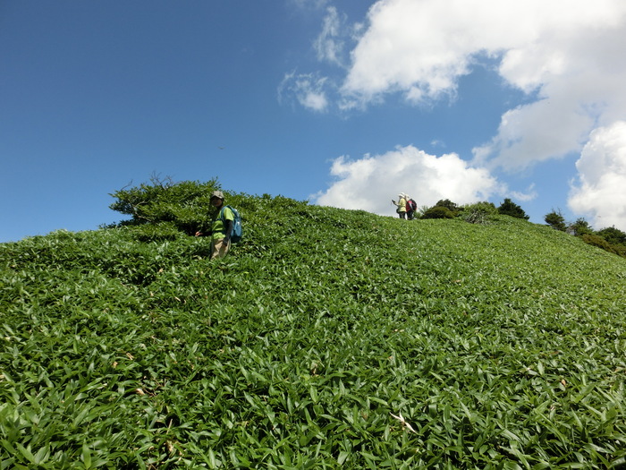 b0185573_17262845.jpg