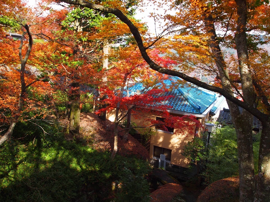 b0368673_09391966.jpg