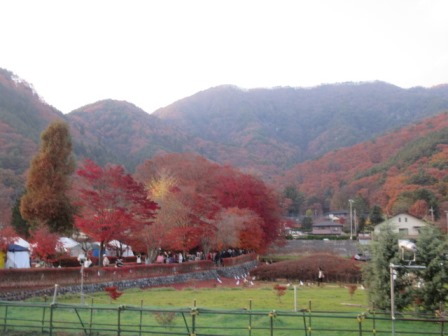 富士山に逢いに・・・♡_e0240973_14242459.jpg