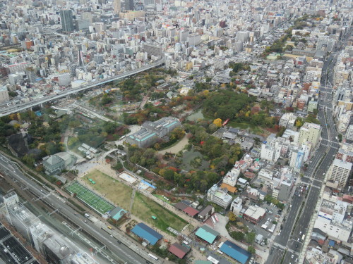 f0259373_11474003.jpg