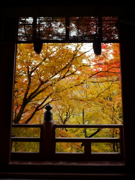 談山神社の紅葉_b0358575_20431279.jpg