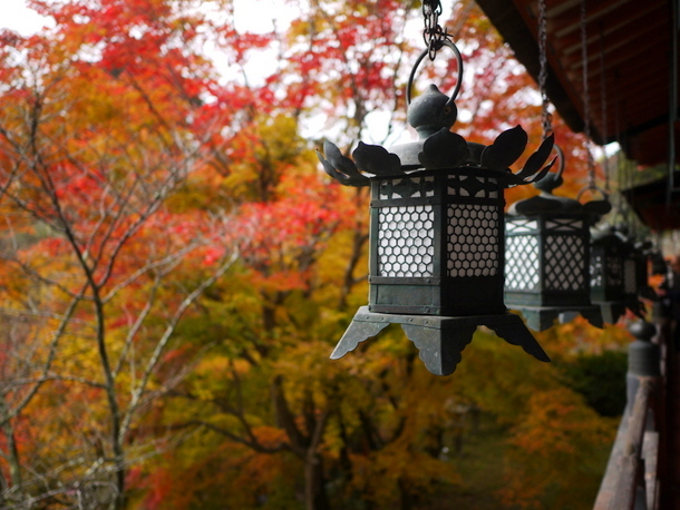 談山神社の紅葉_b0358575_20432032.jpg