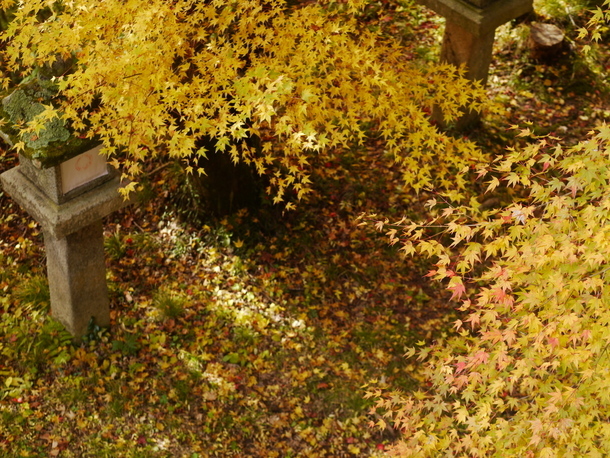 談山神社の紅葉_b0358575_20432965.jpg